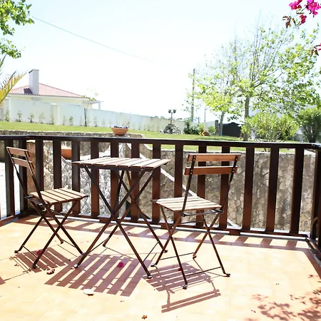 Louro サンタ・クルーズ