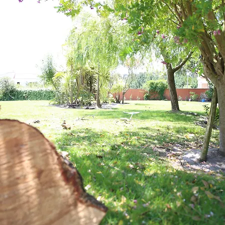 Louro Santa Cruz (Oeste)