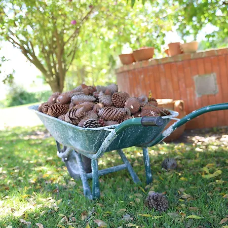 Louro サンタ・クルーズ