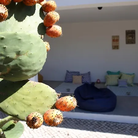 Louro Pensión Santa Cruz (Oeste)