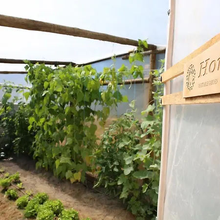 ゲストハウス Louro