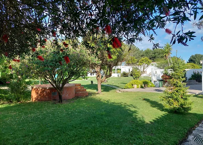 Louro Santa Cruz (Oeste)