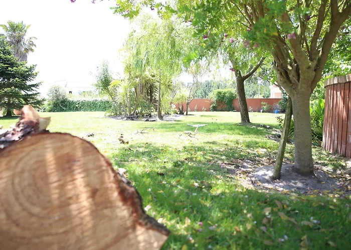 Louro Santa Cruz (Oeste)