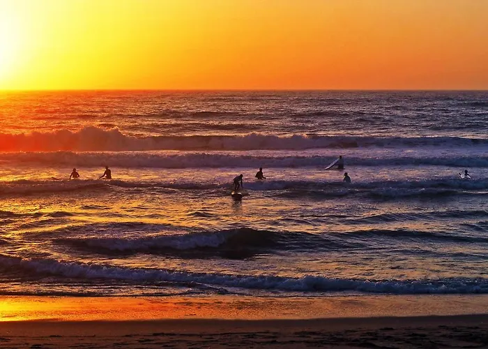 Louro Santa Cruz (Oeste)