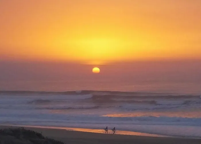 Louro Гостевой дом Санта-Круш